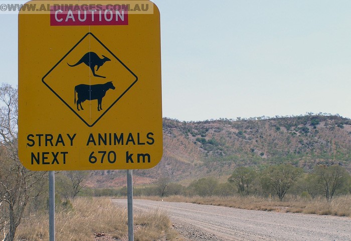 678x459 pixels (155K)